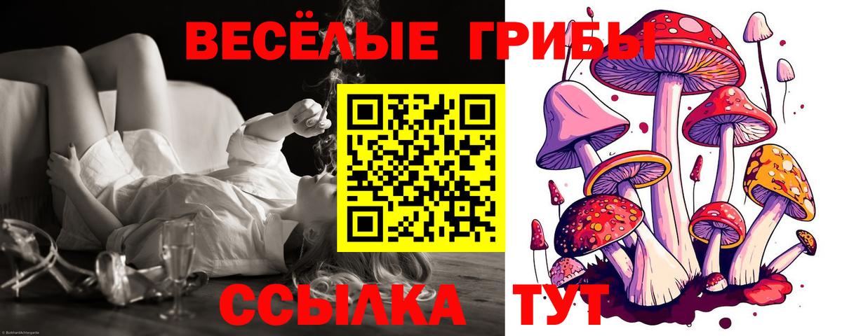 Псилоцибиновые грибы Magic Shrooms  Вход с VPN  Элиста 